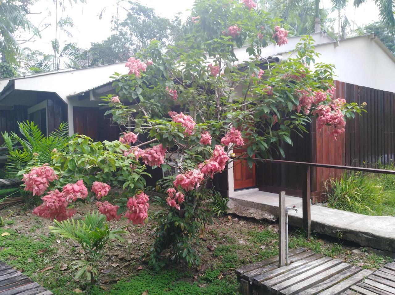 Ceiba Tops Santa Teresa  Esterno foto